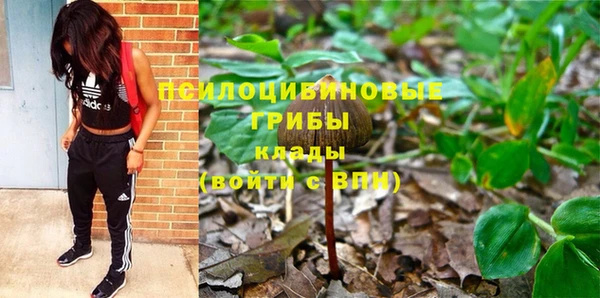 2c-b Алексин