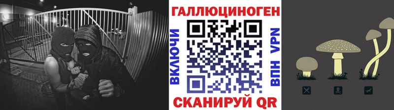 Псилоцибиновые грибы прущие грибы  Ивдель 